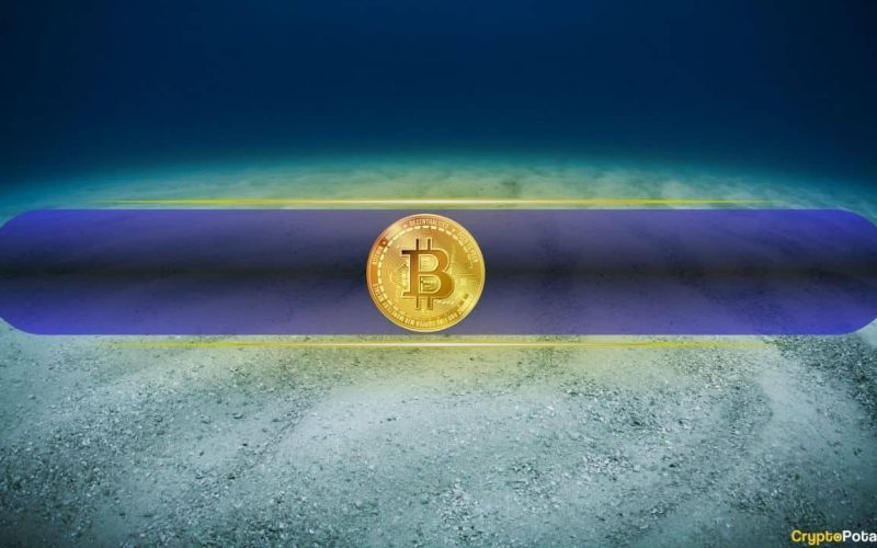 Did Bitcoin Bottom? This is How to Know
