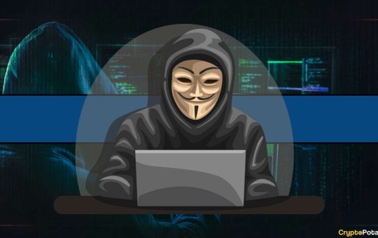 Good News? Losses from Hacks and Fraud Down 20% in 2024