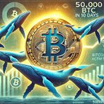 Bitcoin Whales Bought 1.5M BTC In The Past 6 Months: Smart Money Accumulation?