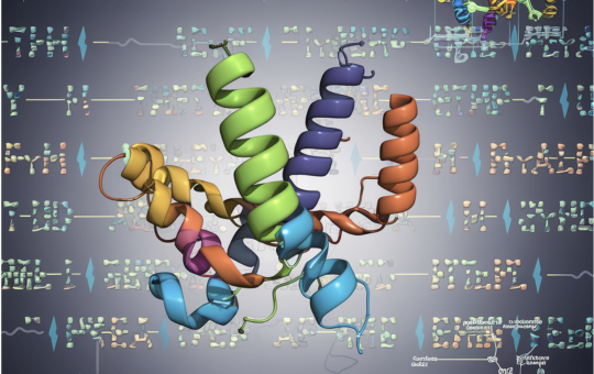 DeepMind Released AlphaFold 3 Inference Codebase, Model Weights and An On-Demand Server