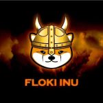 University of Floki launched – CoinJournal