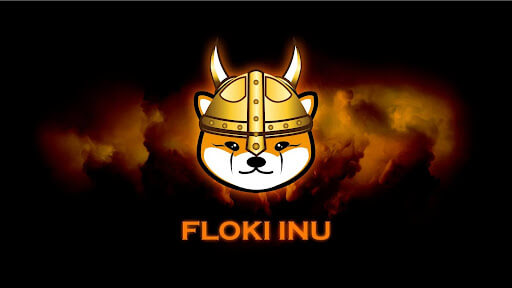 University of Floki launched