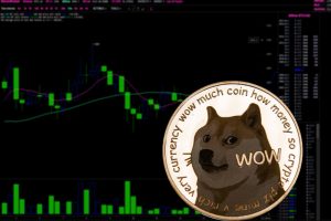 Dogecoin rallies