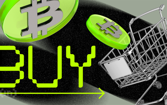 Bitcoin Hits Its Worst Quarter Since 2019, But Veteran Investors Are Shifting to Accumulation