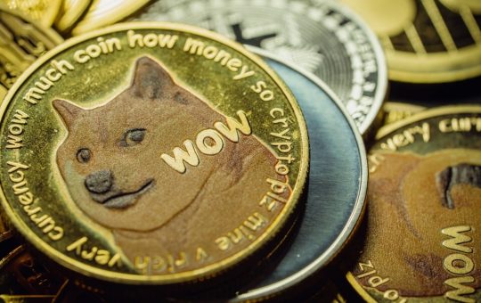Elon Musk Clarifies No Plans for the Government to Use Dogecoin