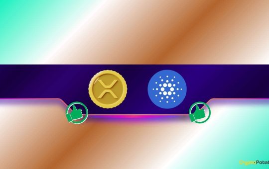 Here Are The Next Targets