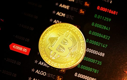 Bitcoin Supply Squeeze Looms As New Whales Stack 600,000 BTC