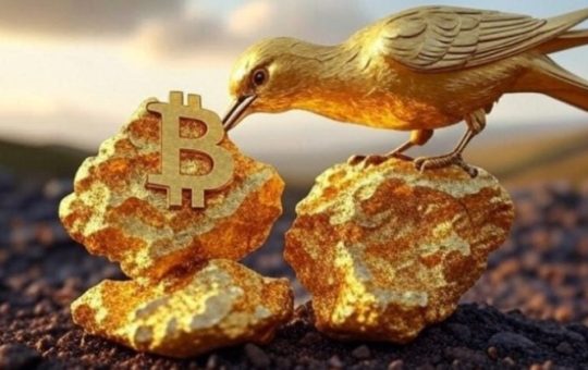 Gold miner Bluebird to convert gold revenues into Bitcoin reserve, stock jumps 63% intraday