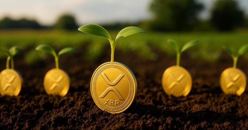 Agtech firm Nature’s Miracle launches $20M XRP treasury, eyes long-term yield generation via staking