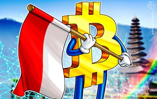 Indonesian Government Is Considering A Bitcoin Reserve