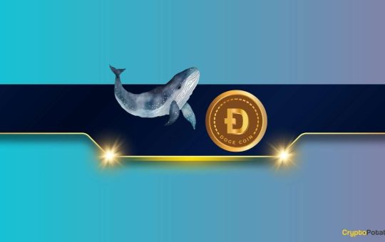 Massive DOGE Whale Activity Hints at $1 Breakout