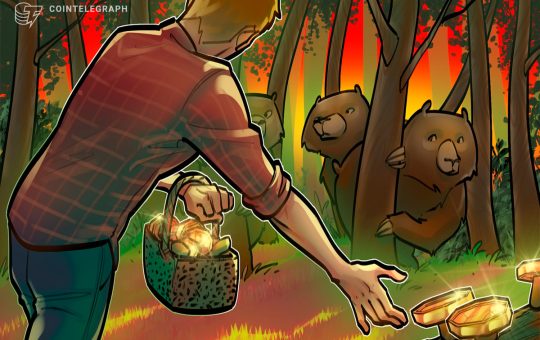 Next Crypto Bear Market Could Be Years Away