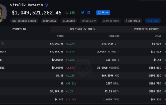 Vitalik Buterin Public Portfolio
