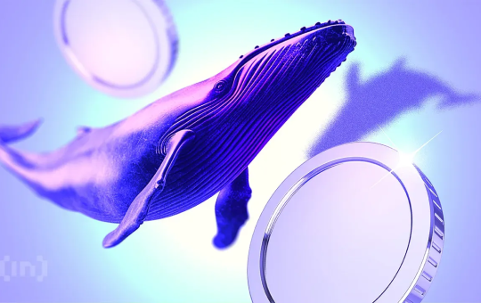 Where Are Crypto Whales Putting Their Money Today?