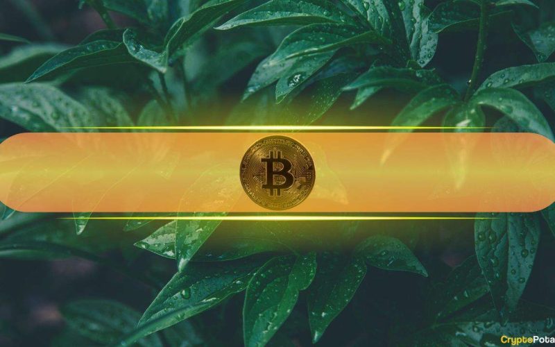 Bitcoin's Healthy Volatility Band Points to Realistic $130K Target