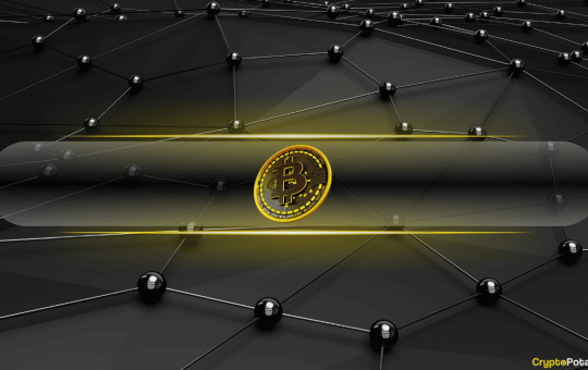 Bitcoin Leverage Flush Wipes Out $8B in Open Interest as Whales Accumulate