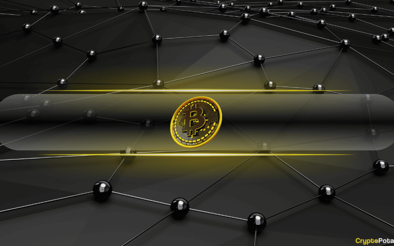 Bitcoin Leverage Flush Wipes Out $8B in Open Interest as Whales Accumulate