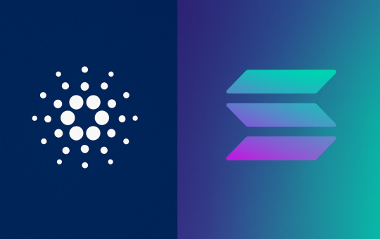 Cardano news Solana Toly