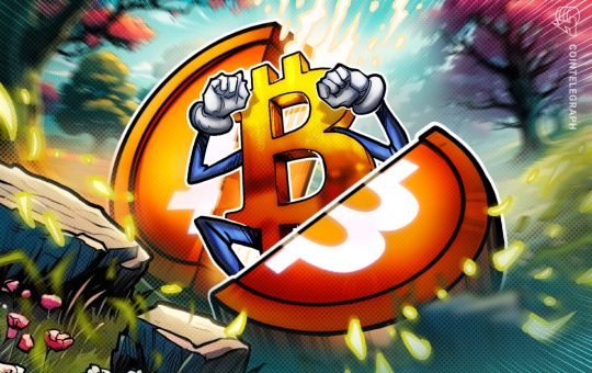 13 Years Since Bitcoin’s First Halving: Mining In 2025