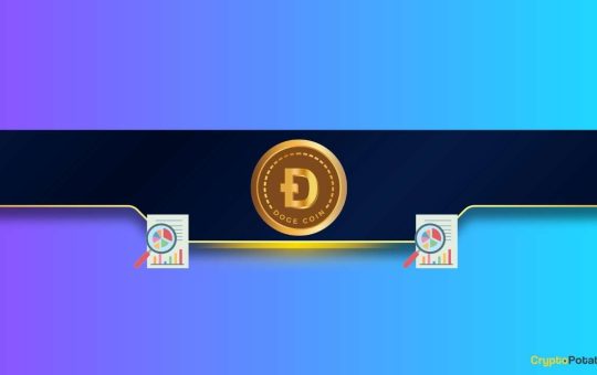 Is This the DOGE Bottom? Dogecoin Flashes Bullish Signals