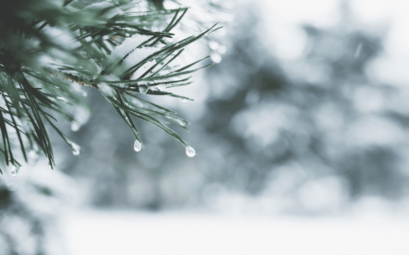 Crypto Trading Activity Hits Yearly Lows as Holiday Lull Freezes Markets