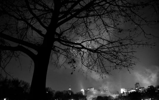 First Insight brings conversational AI in retail