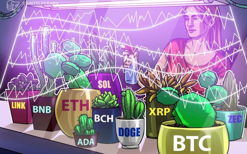 Price predictions 1/2: BTC, ETH, BNB, XRP, SOL, DOGE, ADA, BCH, LINK, ZEC