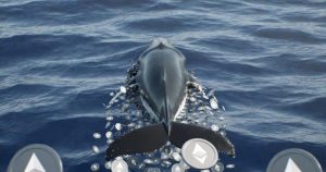 Ethereum whale Trend Research unwinds ETH position as losses reach $747M