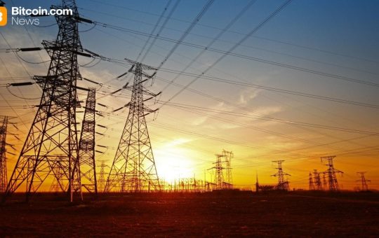 Differently Secured: Bitlease Founder Nima Beni on Why Falling Hashrates Aren’t a Threat