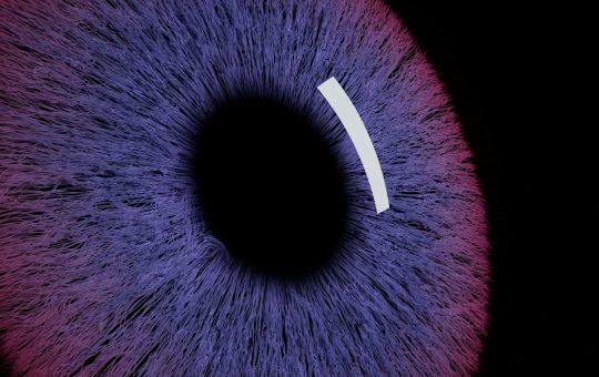 Family offices turn to AI for financial data insights