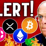 HUGE! CENTRAL BANK TO INVEST IN CRYPTO & FLORIDA STABLECOIN BILL PASSES!