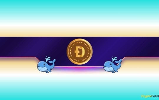 Is Dogecoin Ready to Rally?