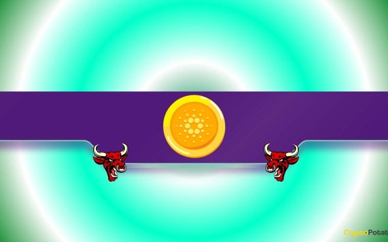 TD Sequential Flashes Buy Signals for These 2 Popular Altcoins