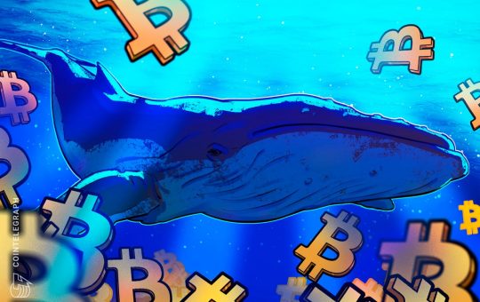 Bitcoin Eyes $90K As Whales Devour 20x Daily BTC Supply In Just 30 Days