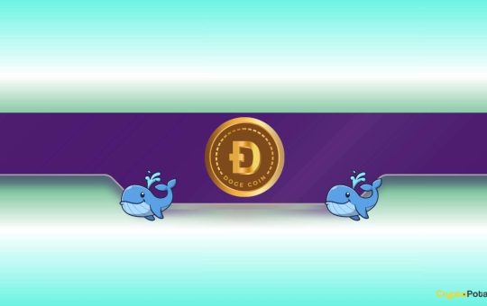 DOGE Price Dumps to Monthly Lows but Dogecoin Whales Load Up
