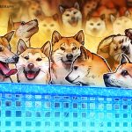Paxos Adds Dogecoin to Brokerage and Custody Platform